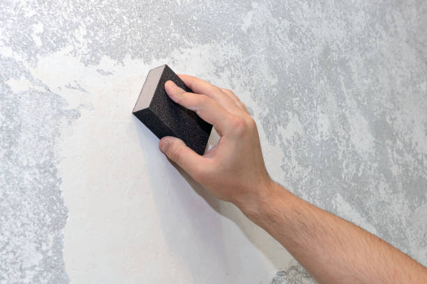 Best Mold Remediation for Healthcare Facilities  in South Charleston, OH